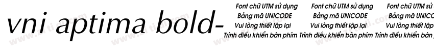 vni aptima bold字体转换